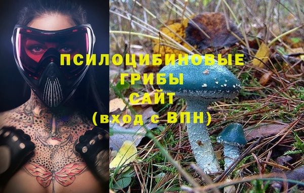 трава Балахна