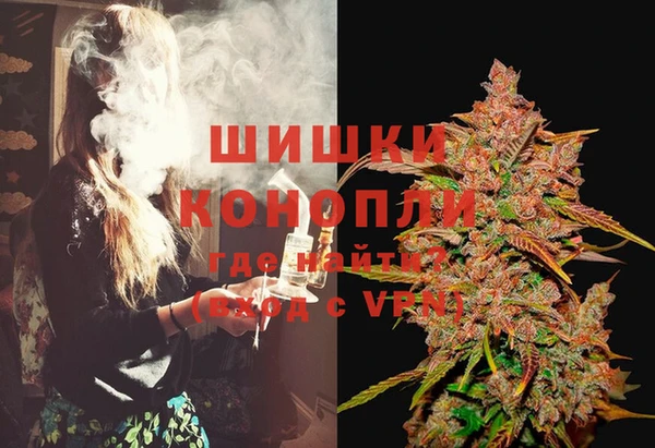 первитин Богородицк